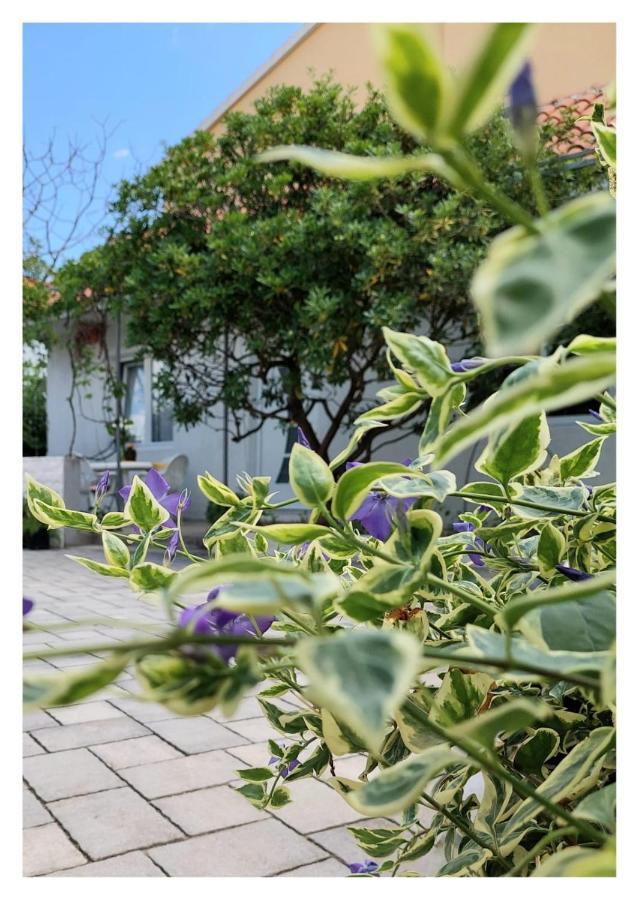 Villa House Old Town Trogir Exterior foto